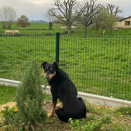 לינה וארוחת בוקר Maison Amoraina