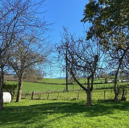 Maison Amoraina 3* Ascarat