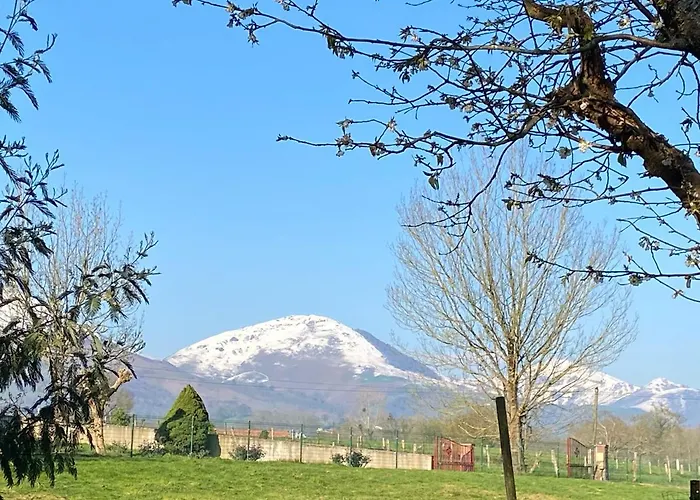 住宿加早餐酒店 Maison Amoraina Ascarat