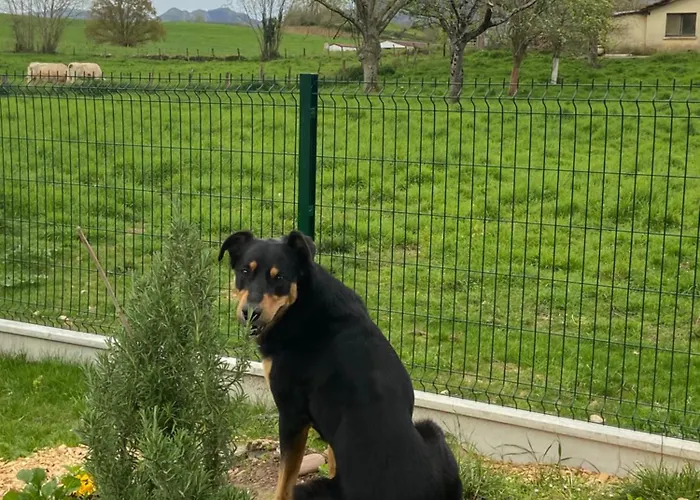 住宿加早餐酒店 Maison Amoraina